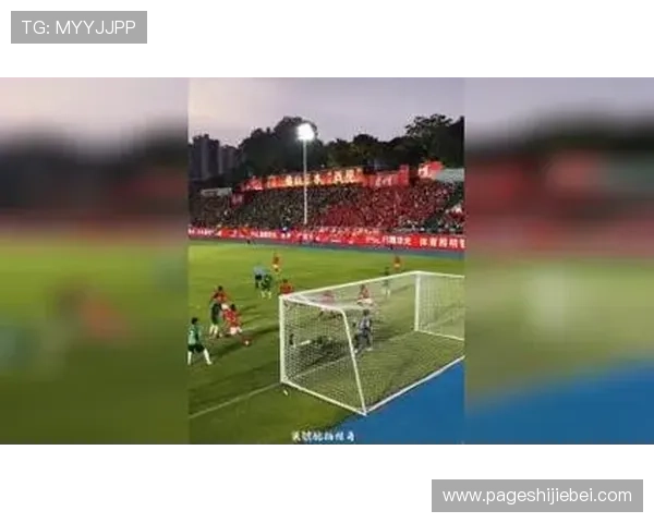 克罗地亚世界杯比赛精彩瞬间：球迷难忘的激动时刻