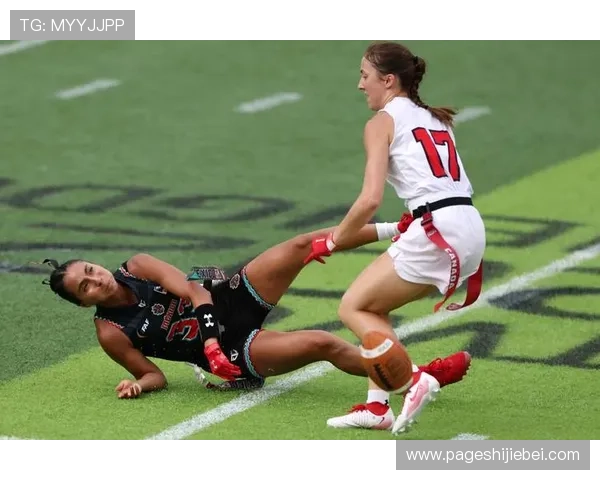 橄榄球世界杯：赛事组织与比赛规则详解