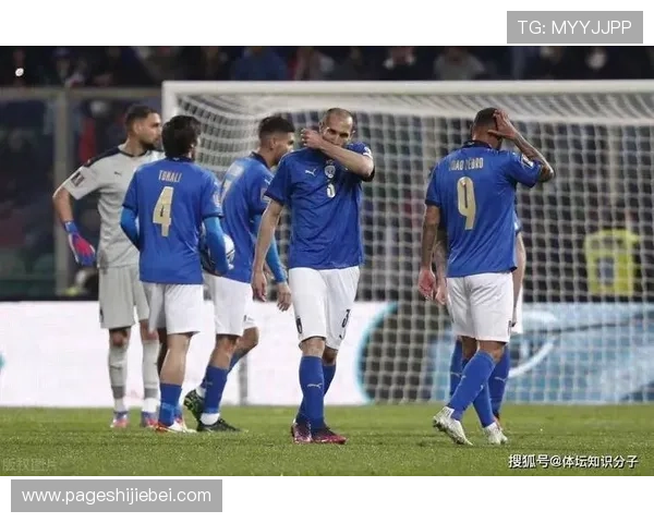 欧洲有多少支球队成功晋级美加墨世界杯，详细数据与分析解读